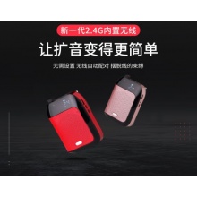 阿芙罗 T9 2.4G无线领夹式小蜜蜂扩音器